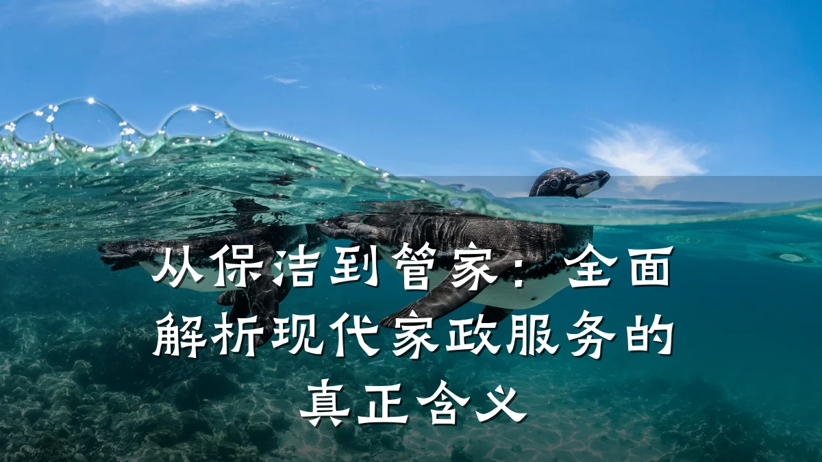从保洁到管家：全面解析现代家政服务的真正含义