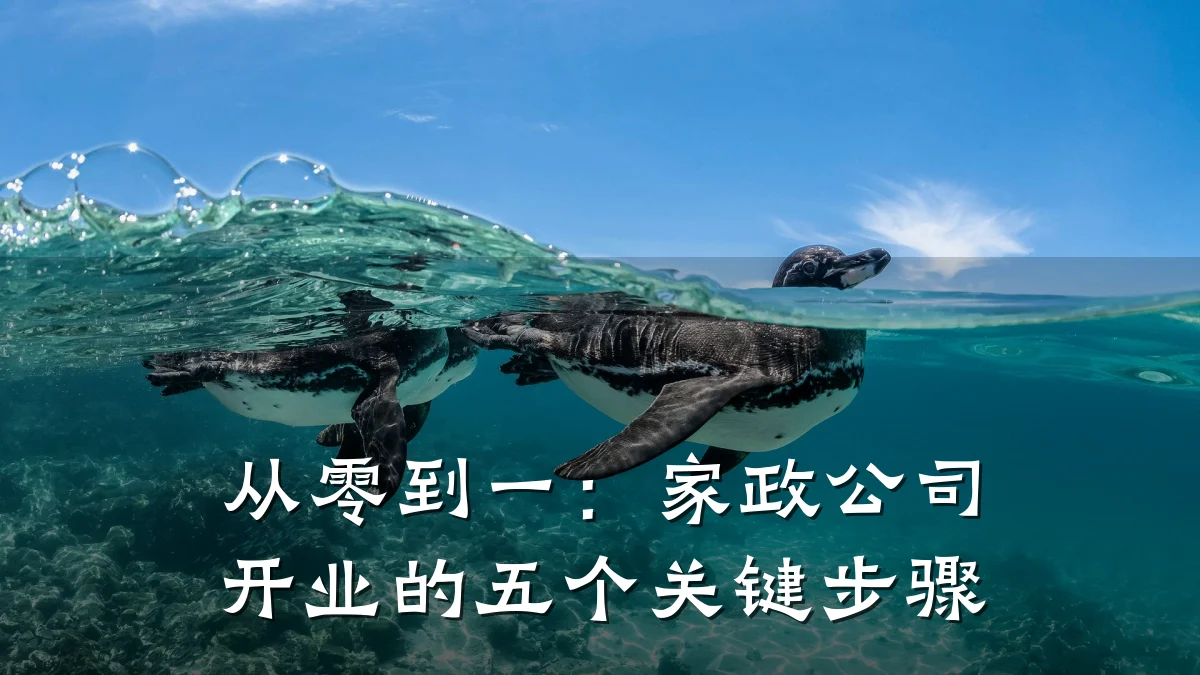 从零到一:家政公司开业的五个关键步骤