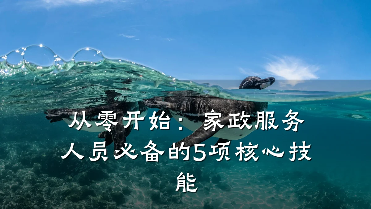 从零开始：家政服务人员必备的5项核心技能