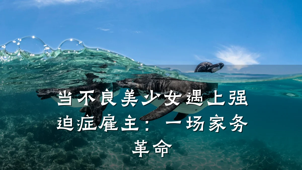 当不良美少女遇上强迫症雇主：一场家务革命
