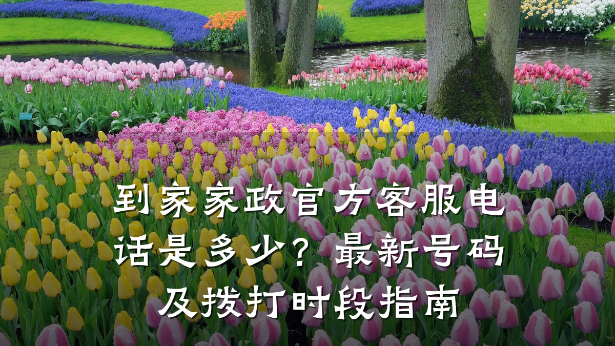 到家家政官方客服电话是多少?最新号码及拨打时段指南
