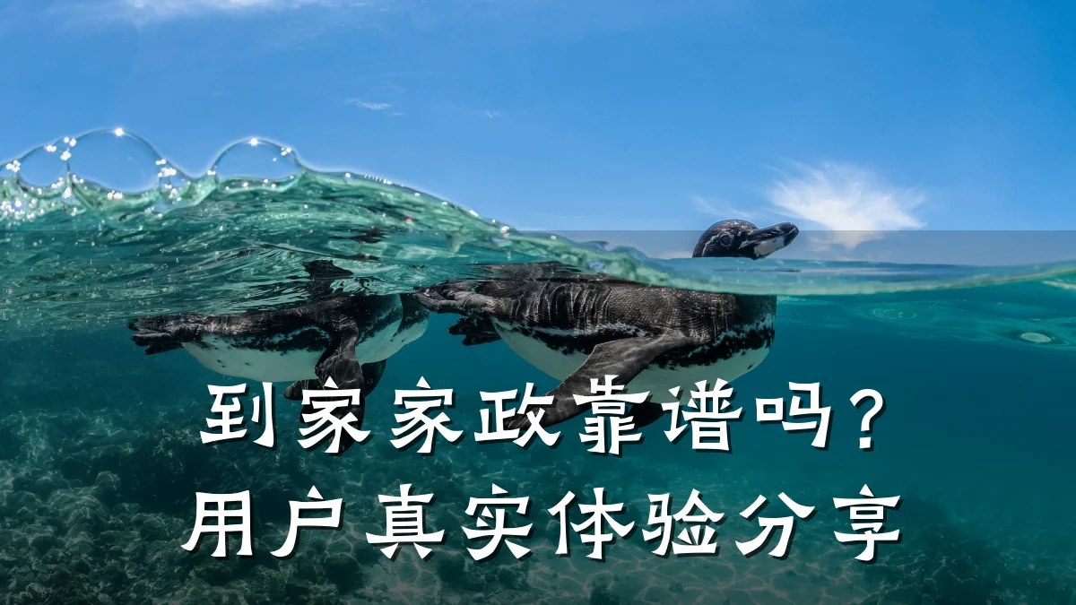 到家家政靠谱吗?用户真实体验分享