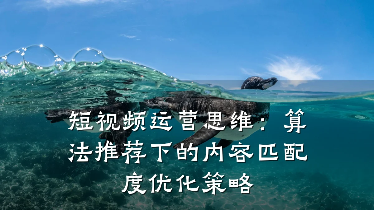 短视频运营思维：算法推荐下的内容匹配度优化策略