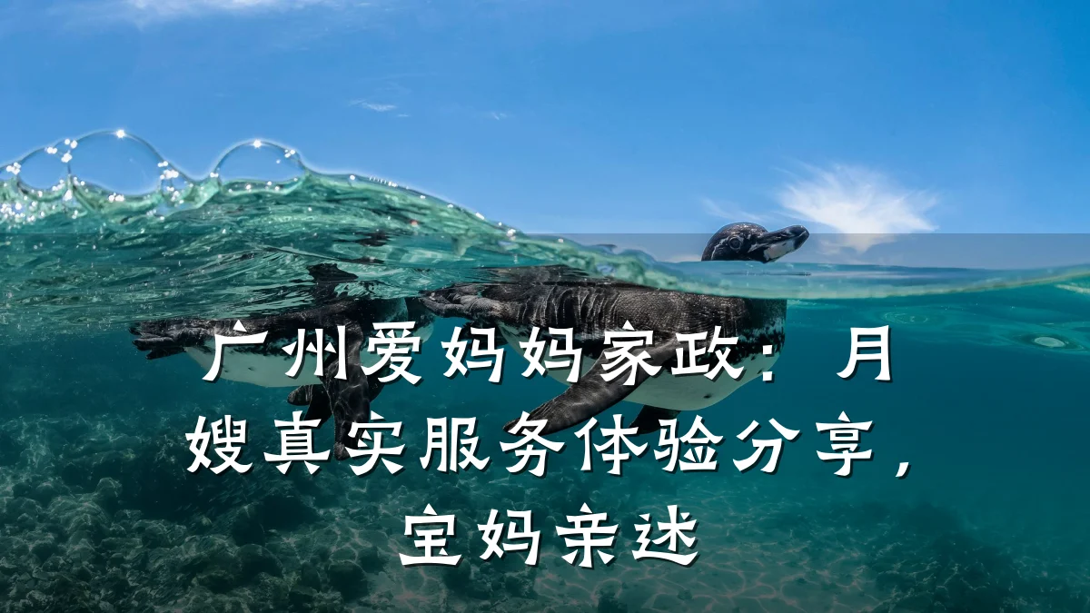 广州爱妈妈家政：月嫂真实服务体验分享，宝妈亲述