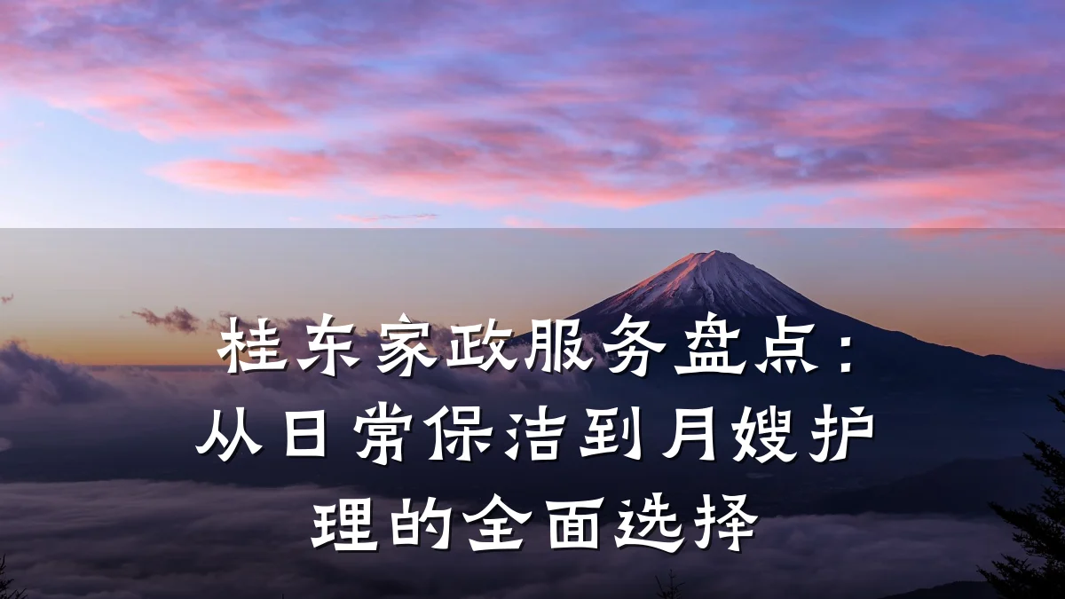 桂东家政服务盘点:从日常保洁到月嫂护理的全面选择