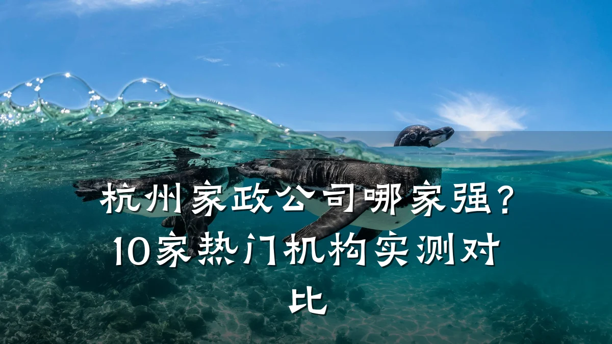 杭州家政公司哪家强?10家热门机构实测对比