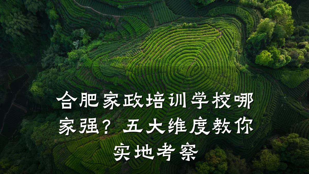 合肥家政培训学校哪家强？五大维度教你实地考察