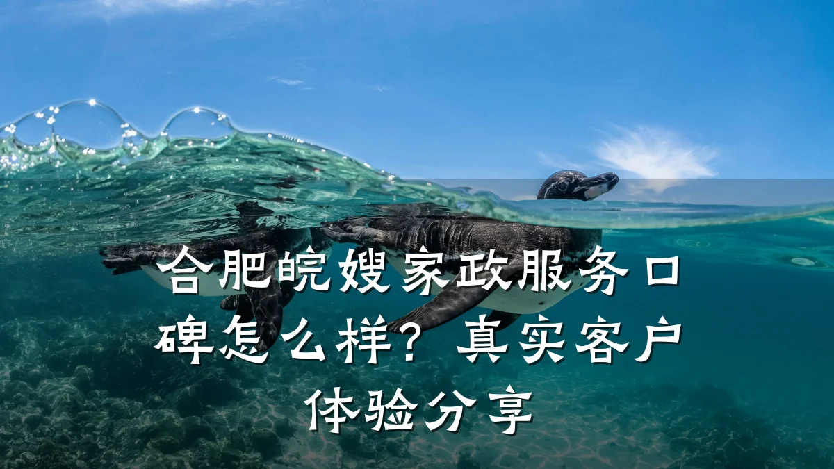 合肥皖嫂家政服务口碑怎么样?真实客户体验分享