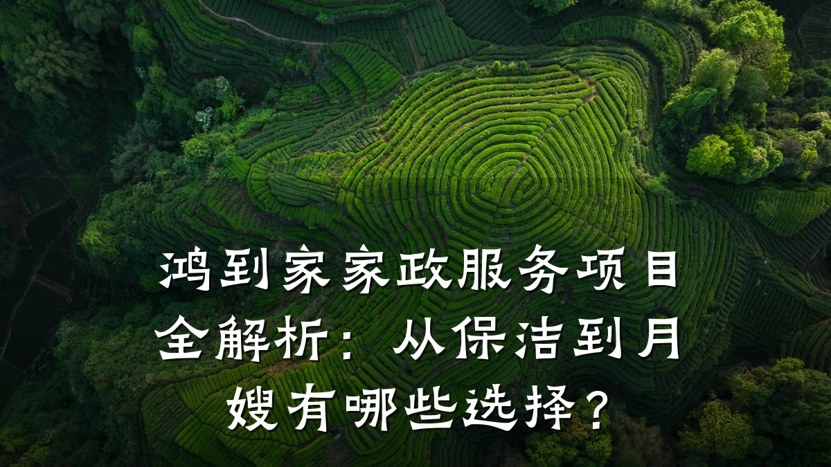 鸿到家家政服务项目全解析:从保洁到月嫂有哪些选择?