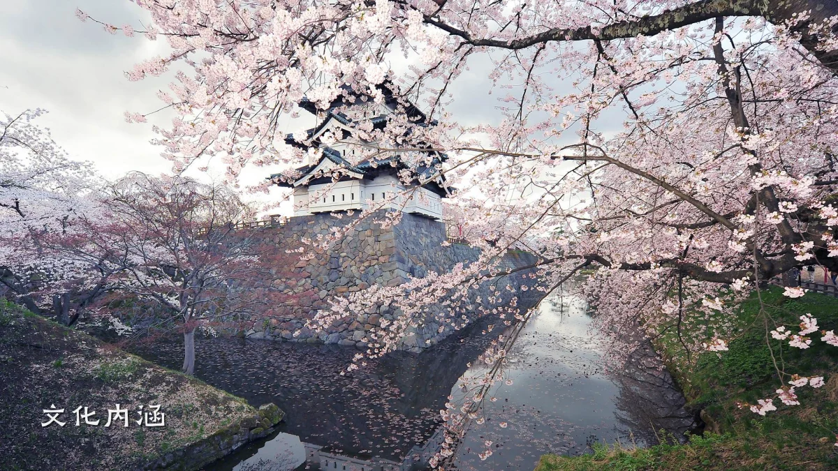 文化内涵