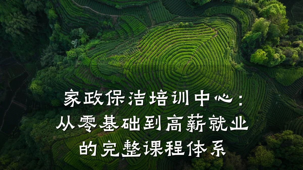 家政保洁培训中心:从零基础到高薪就业的完整课程体系
