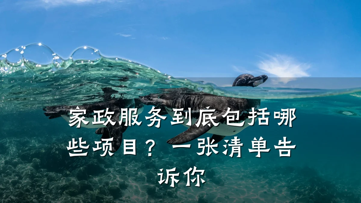 家政服务到底包括哪些项目?一张清单告诉你