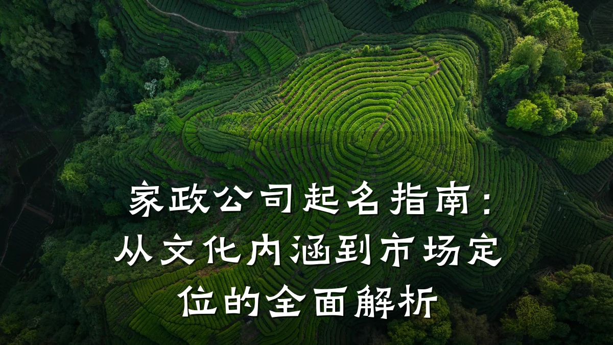 家政公司起名指南：从文化内涵到市场定位的全面解析
