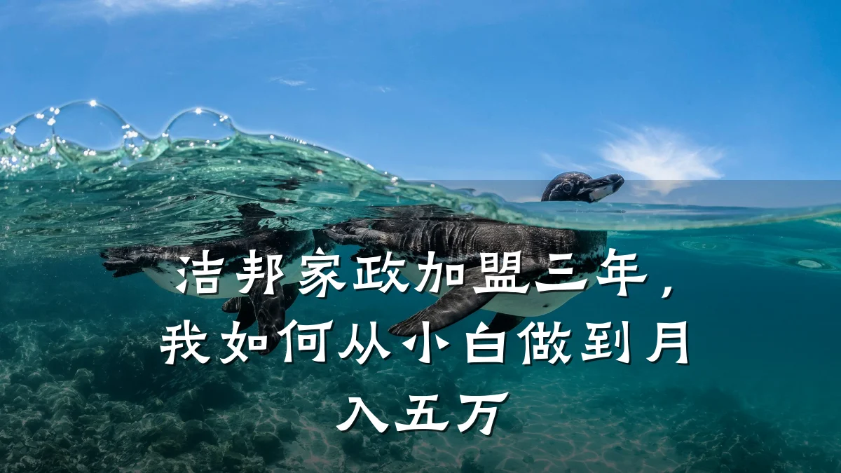 洁邦家政加盟三年,我如何从小白做到月入五万