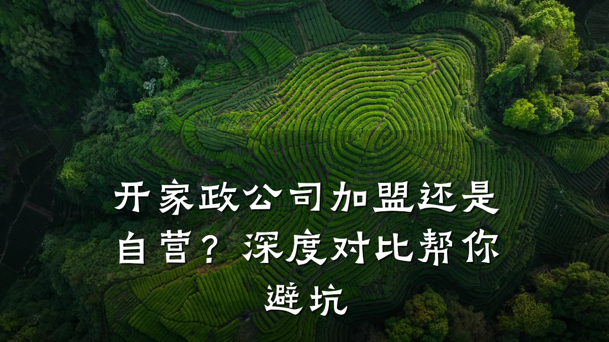 开家政公司加盟还是自营?深度对比帮你避坑
