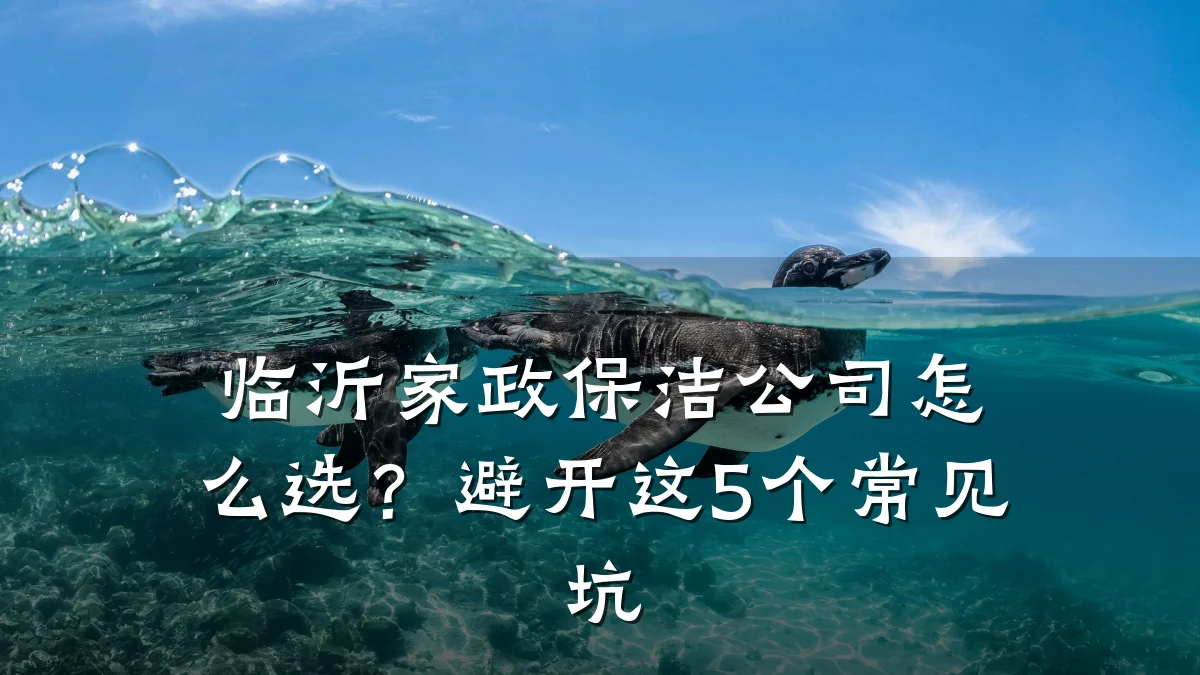 临沂家政保洁公司怎么选?避开这5个常见坑