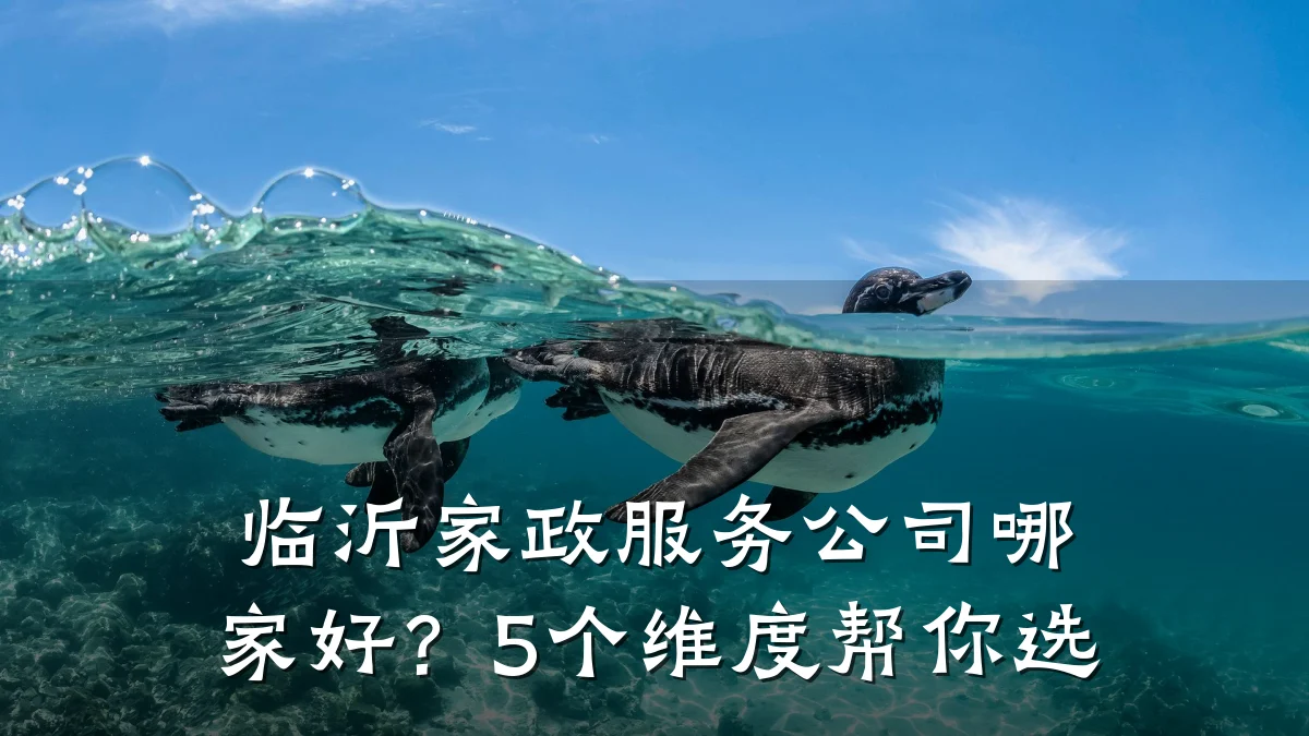 临沂家政服务公司哪家好?5个维度帮你选