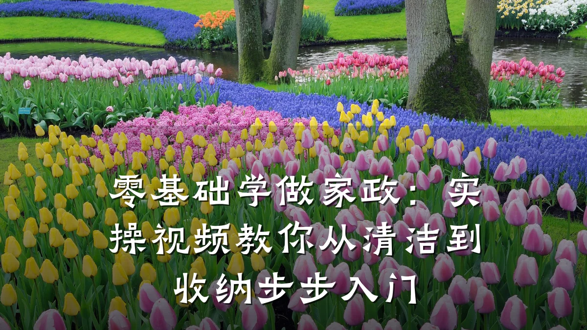 零基础学做家政:实操视频教你从清洁到收纳步步入门