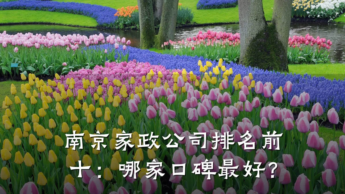 南京家政公司排名前十：哪家口碑最好？
