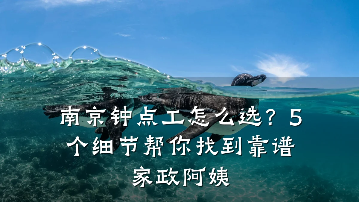 南京钟点工怎么选?5个细节帮你找到靠谱家政阿姨