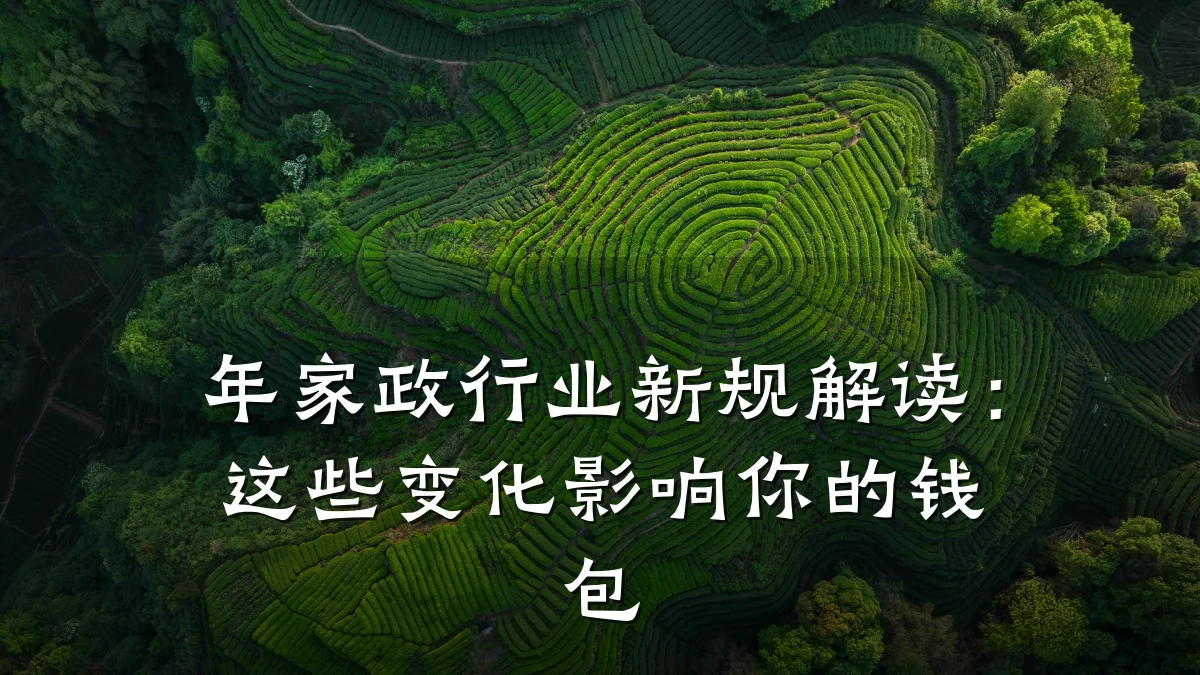 年家政行业新规解读：这些变化影响你的钱包