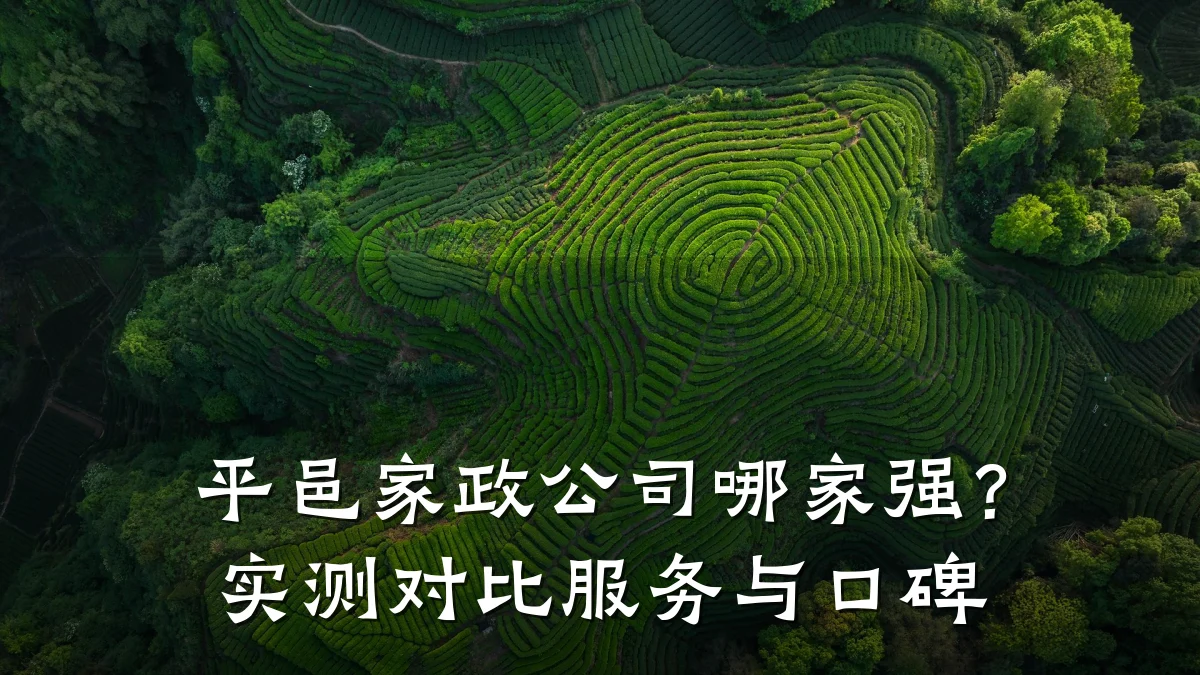 平邑家政公司哪家强？实测对比服务与口碑