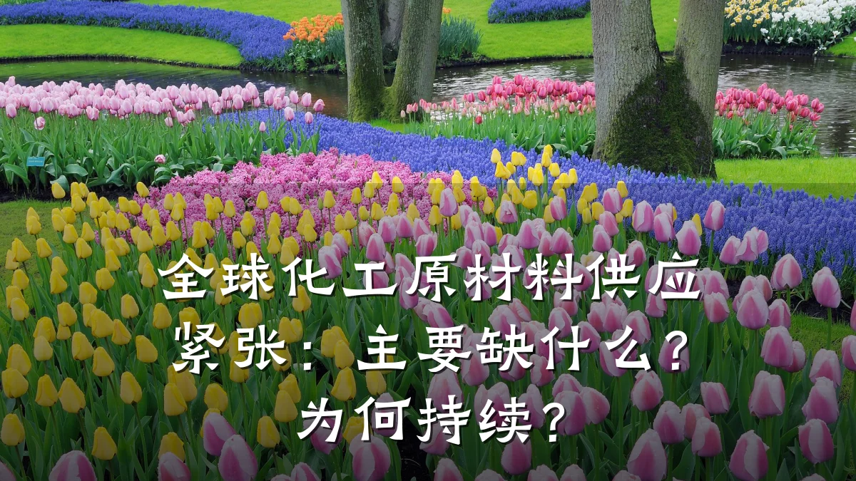 全球化工原材料供应紧张:主要缺什么?为何持续?