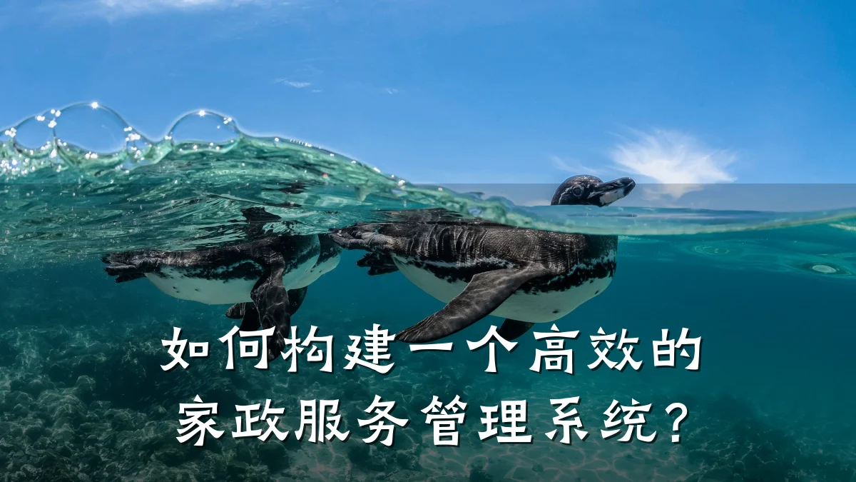 如何构建一个高效的家政服务管理系统?
