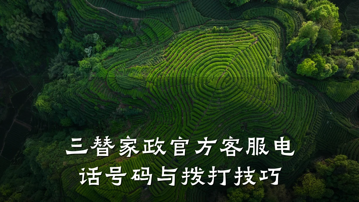三替家政官方客服电话号码与拨打技巧