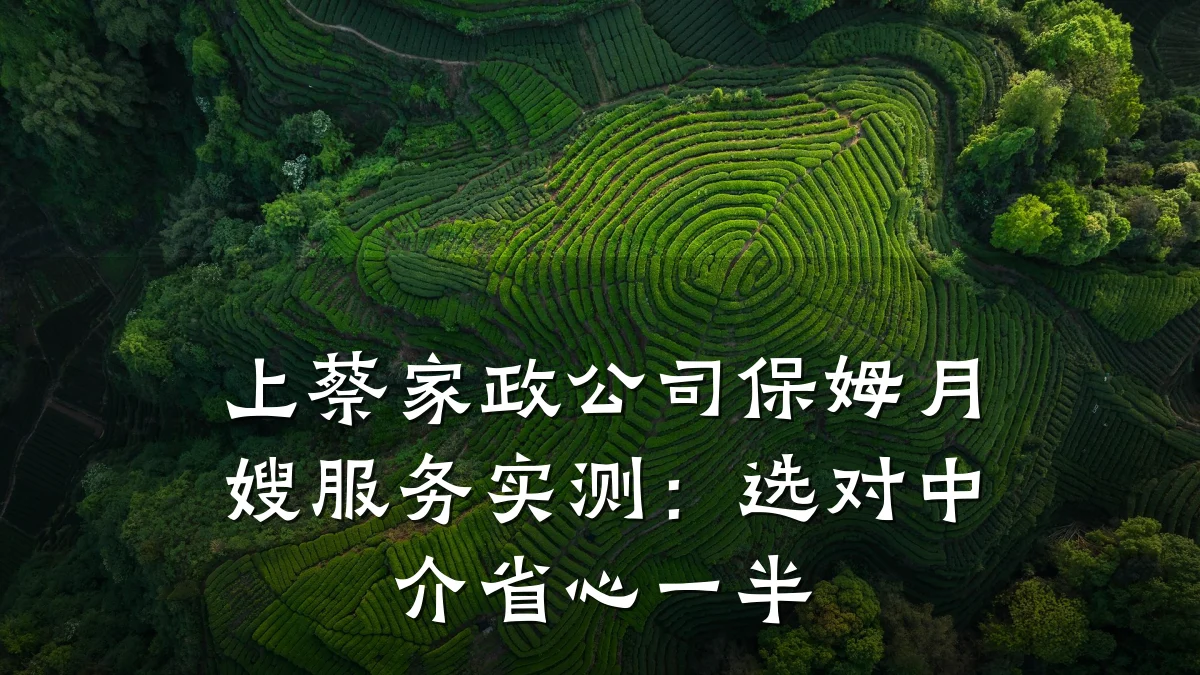 上蔡家政公司保姆月嫂服务实测：选对中介省心一半