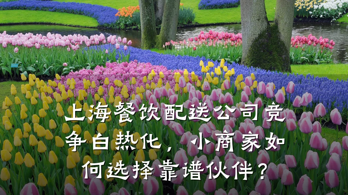 上海餐饮配送公司竞争白热化,小商家如何选择靠谱伙伴?