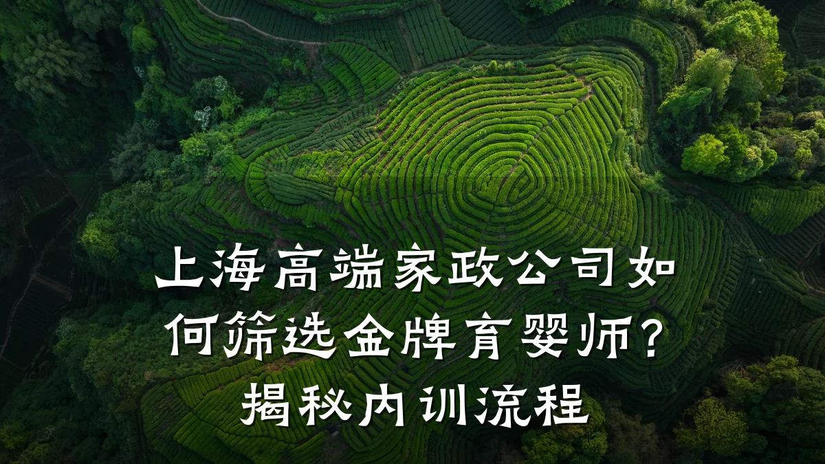 上海高端家政公司如何筛选金牌育婴师?揭秘内训流程