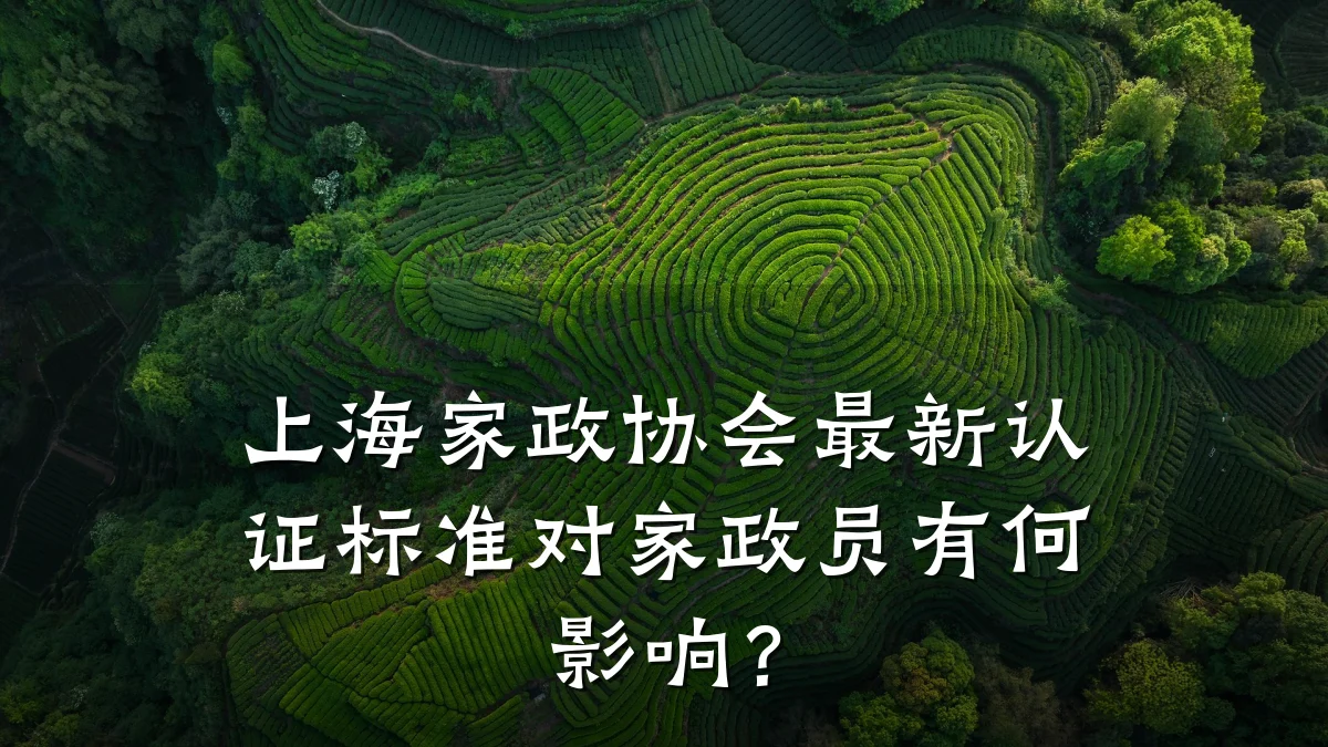上海家政协会最新认证标准对家政员有何影响？