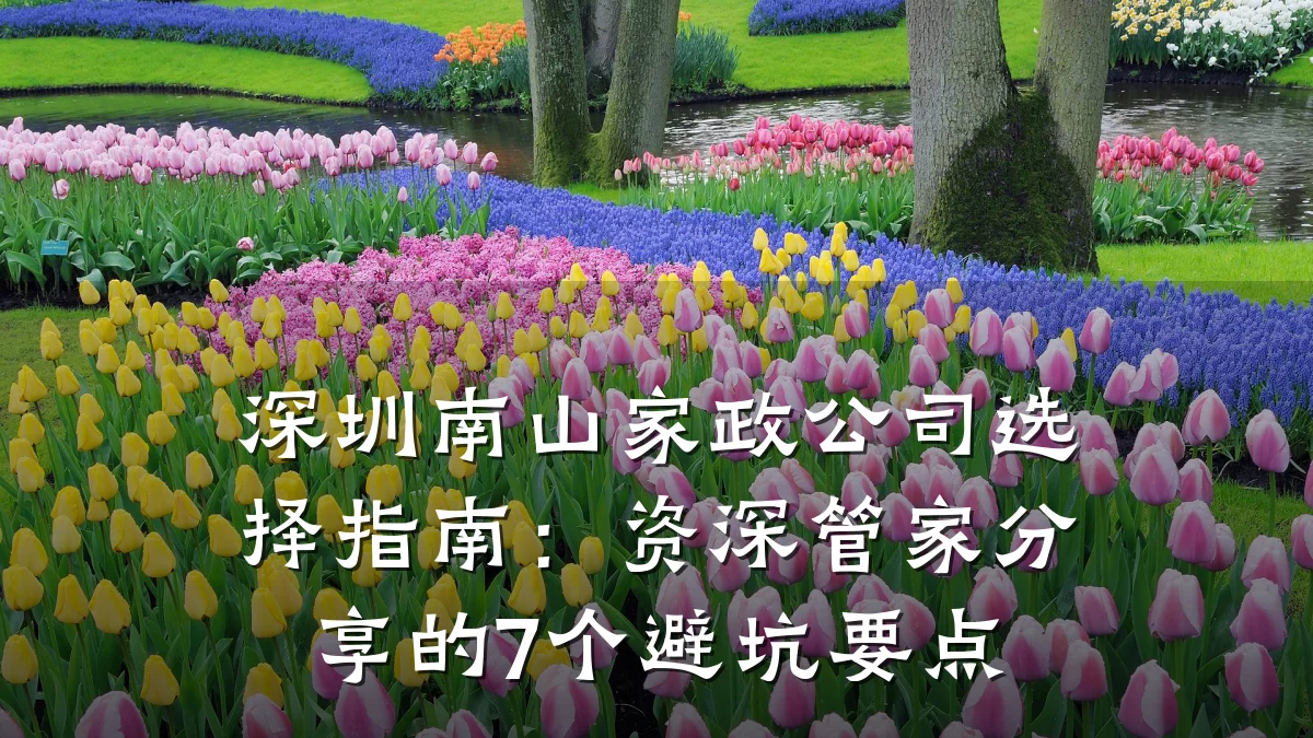深圳南山家政公司选择指南:资深管家分享的7个避坑要点