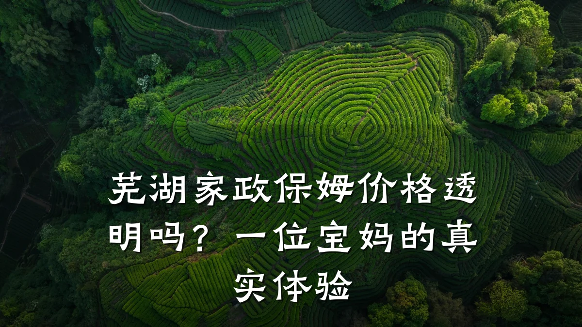 芜湖家政保姆价格透明吗?一位宝妈的真实体验