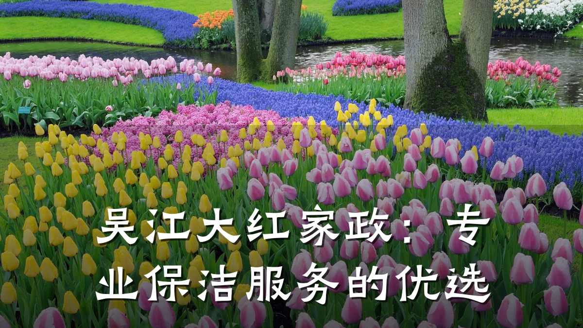 吴江大红家政：专业保洁服务的优选