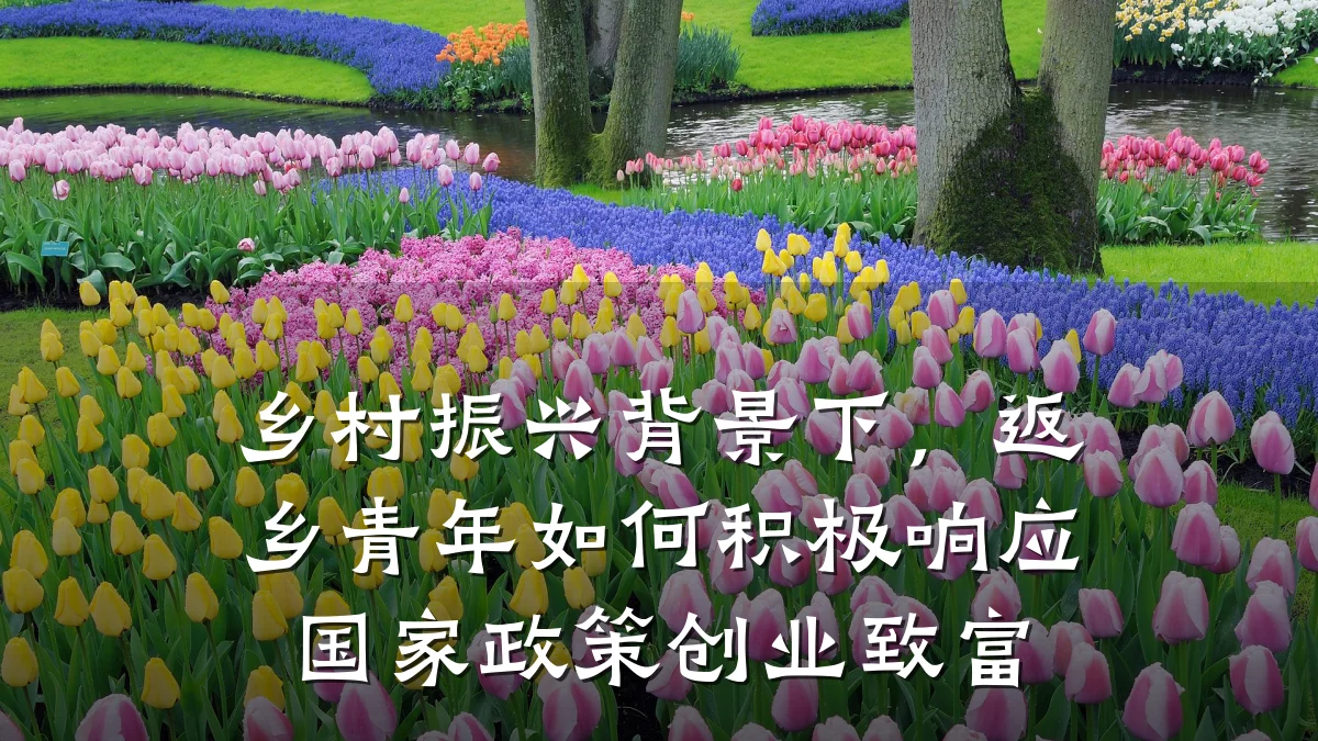 乡村振兴背景下，返乡青年如何积极响应国家政策创业致富