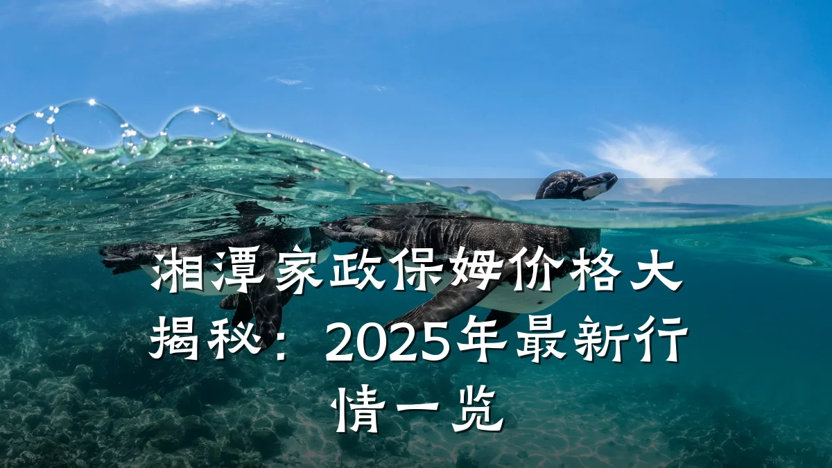 湘潭家政保姆价格大揭秘:2025年最新行情一览