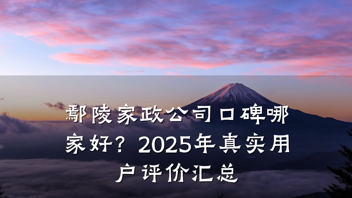 鄢陵家政公司口碑哪家好？2025年真实用户评价汇总