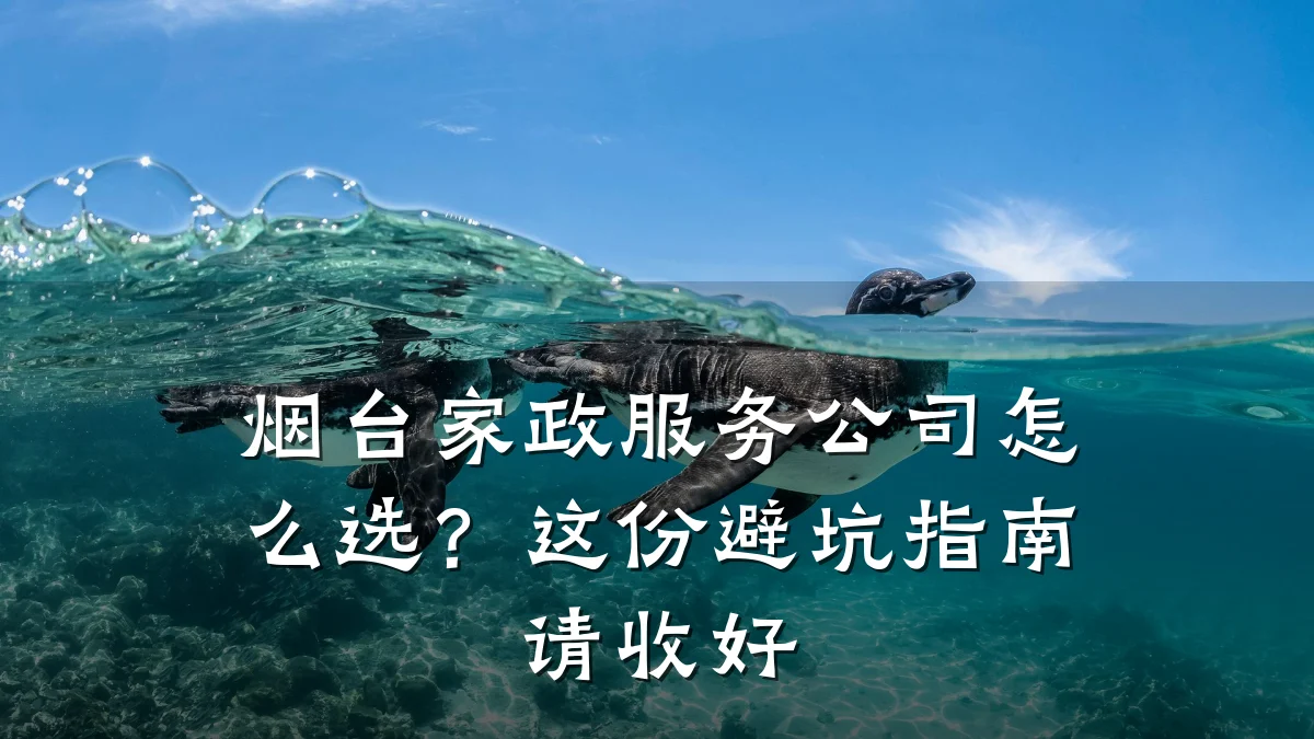 烟台家政服务公司怎么选?这份避坑指南请收好