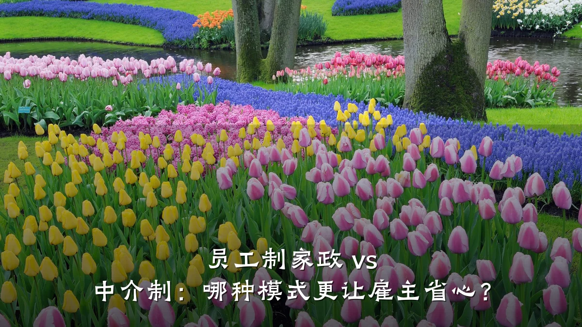 员工制家政 vs 中介制：哪种模式更让雇主省心？