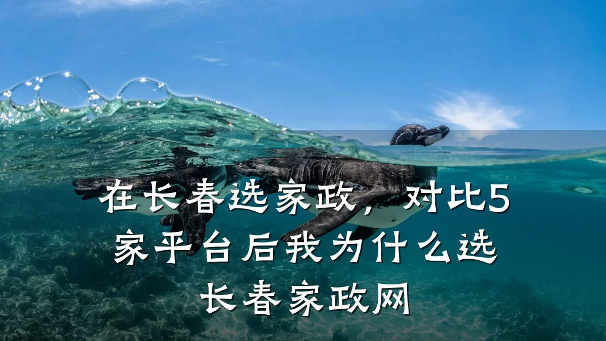 在长春选家政，对比5家平台后我为什么选长春家政网