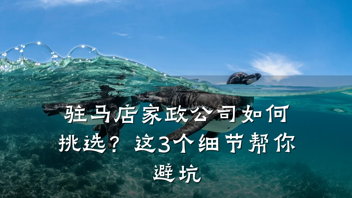 驻马店家政公司如何挑选？这3个细节帮你避坑