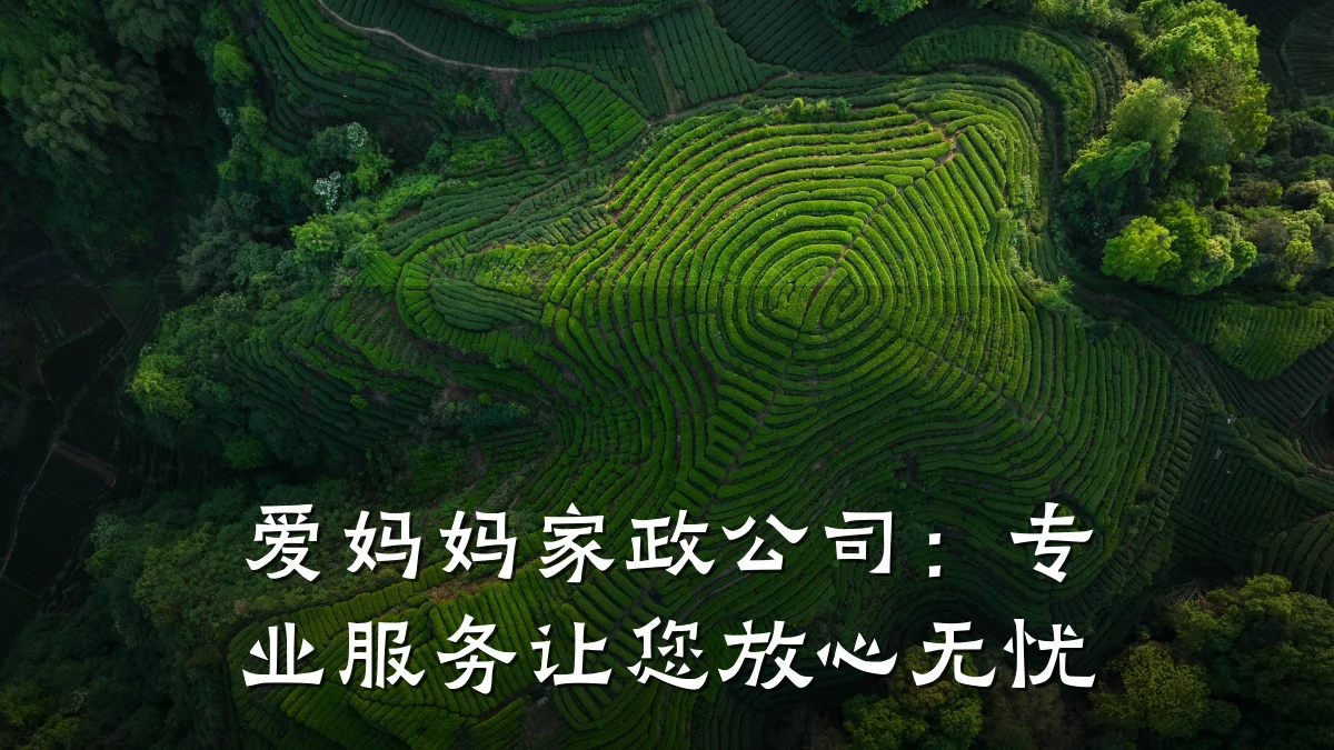 爱妈妈家政公司：专业服务让您放心无忧
