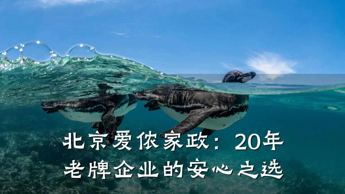 北京爱侬家政：20年老牌企业的安心之选