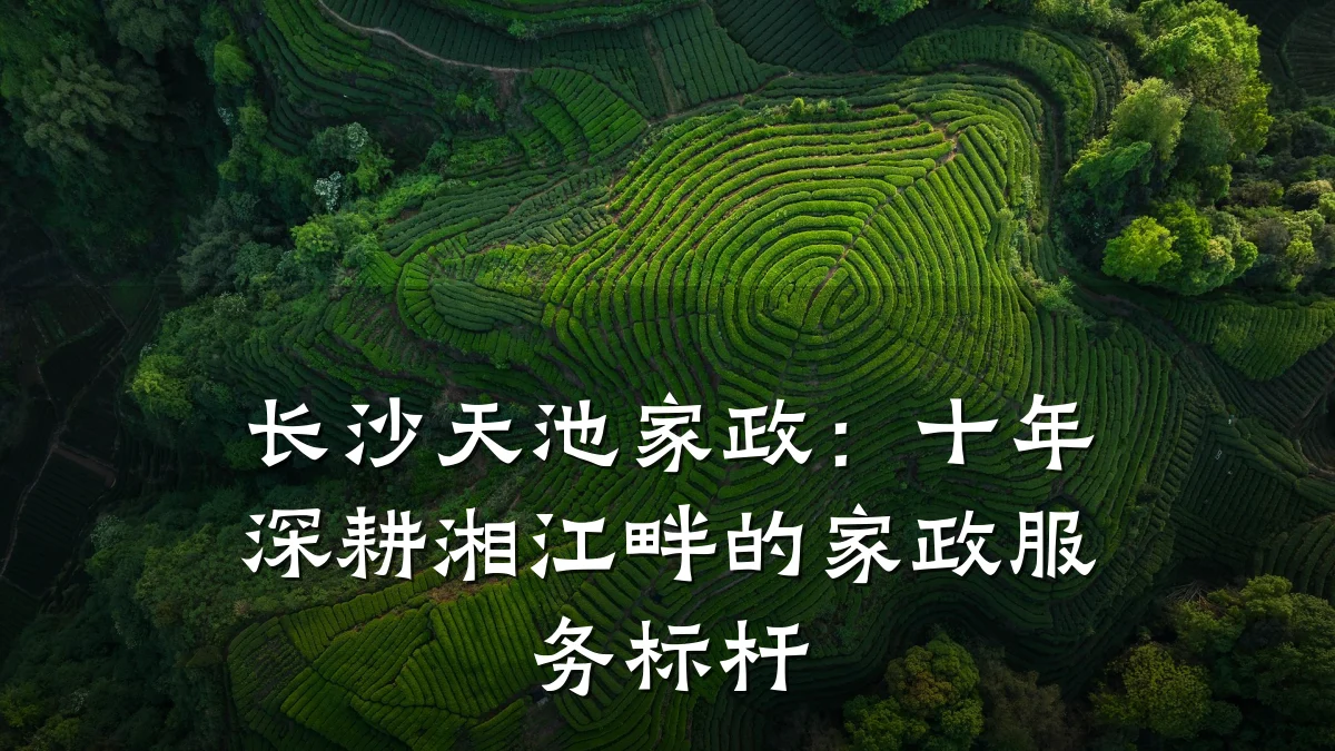 长沙天池家政:十年深耕湘江畔的家政服务标杆