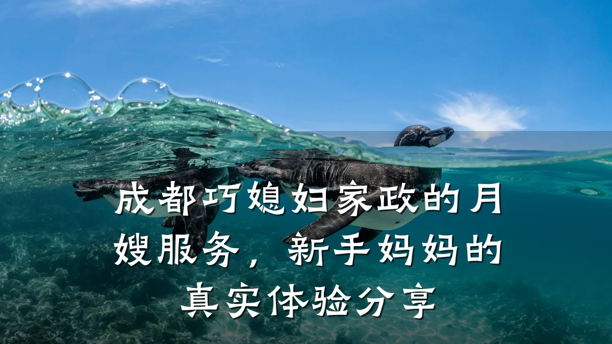 成都巧媳妇家政的月嫂服务，新手妈妈的真实体验分享