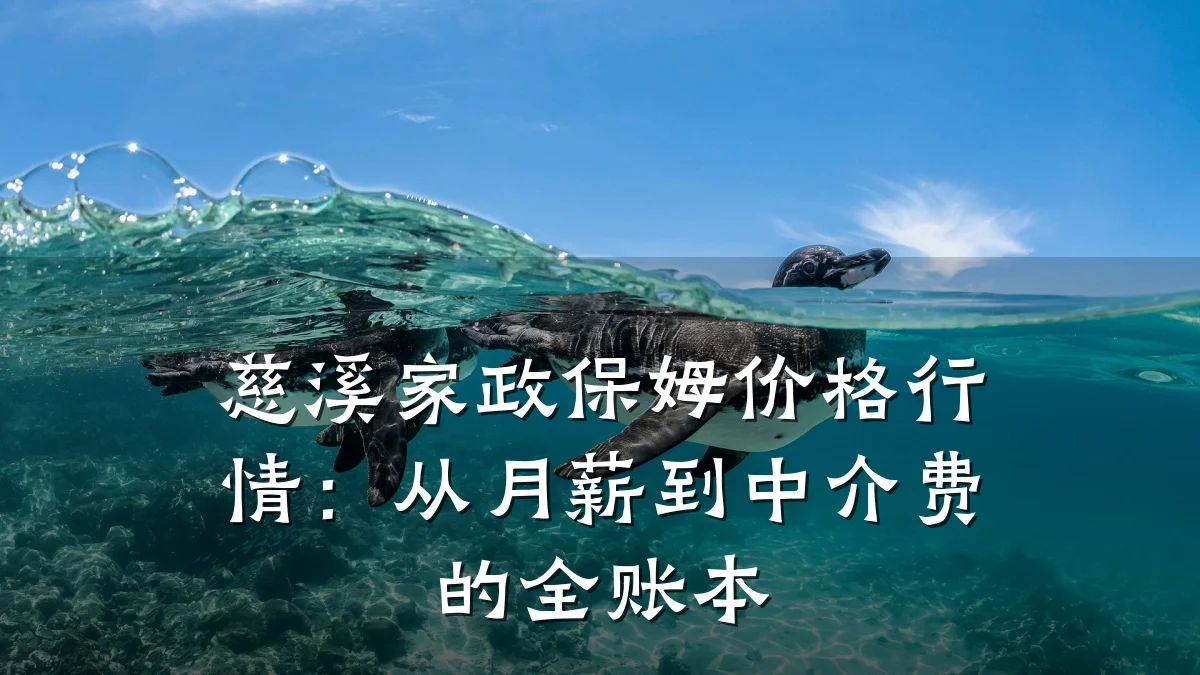 慈溪家政保姆价格行情:从月薪到中介费的全账本
