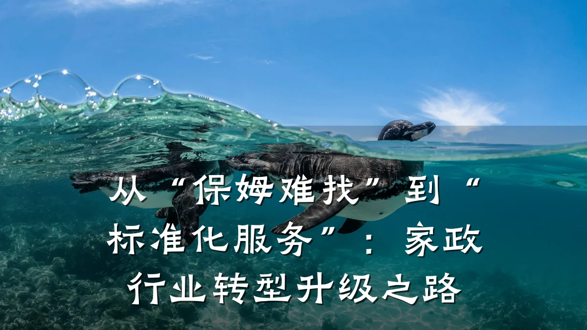 从“保姆难找”到“标准化服务”：家政行业转型升级之路