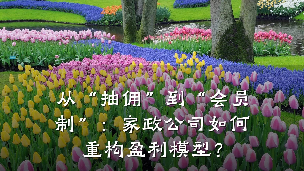 从“抽佣”到“会员制”:家政公司如何重构盈利模型?